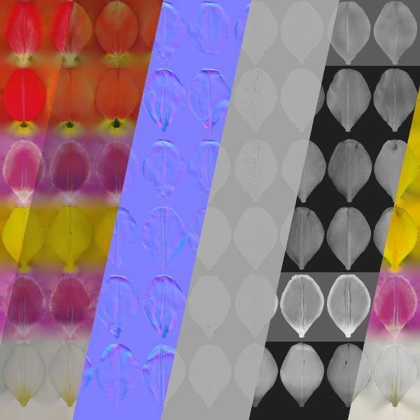 Tulip VFX Grace