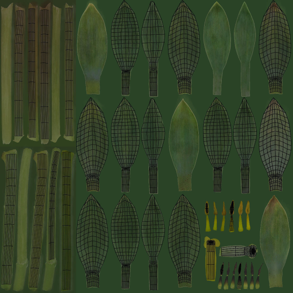Tulip VFX Grace