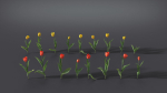 Tulip VFX Grace