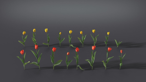 Tulip VFX Grace
