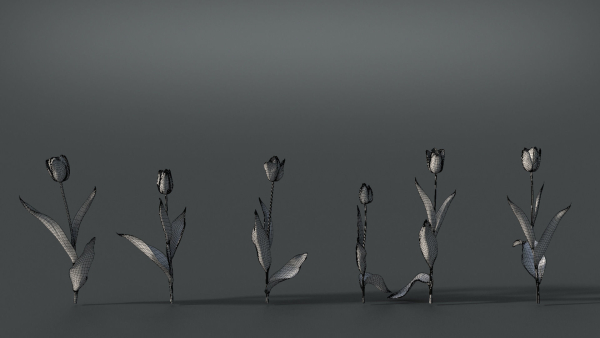 Tulip VFX Grace