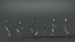 Tulip VFX Grace