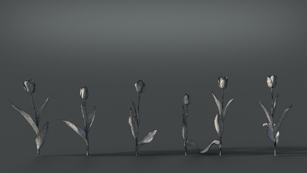 Tulip VFX Grace