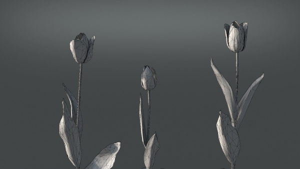 Tulip VFX Grace