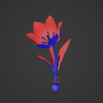 Tulipa Agenensis