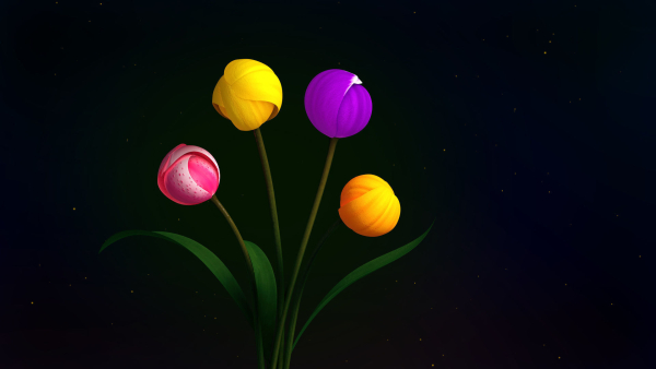 Tulips Flowers Animated
