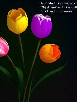 Tulips Flowers Animated