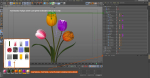 Tulips Flowers Animated