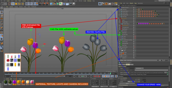 Tulips Flowers Animated