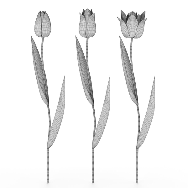 Tulips metallic Metallic tulips