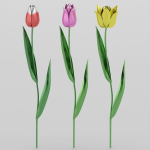 Tulips metallic Metallic tulips