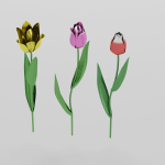 Tulips metallic Metallic tulips