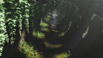 Tunnel Ruins Scene