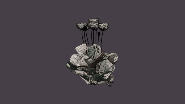 Turkenlouis Oriental Poppy
