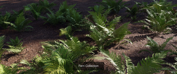 Ultimate Fern Collection