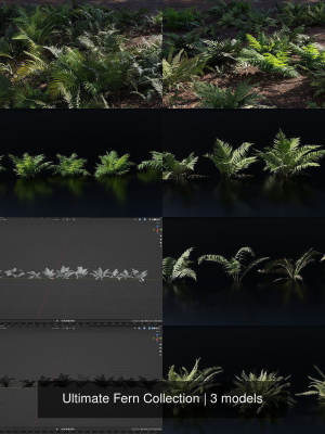 Ultimate Fern Collection
