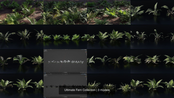 Ultimate Fern Collection