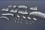Ultimate Low Poly Nature Pack