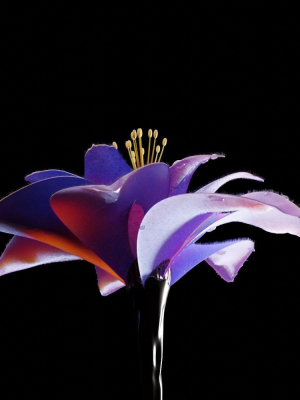 unique-flower-01-3d-model-6970b9cbaf