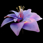 Unique Flower 01