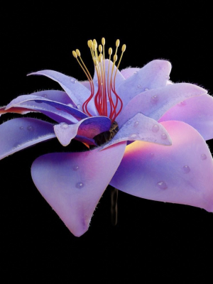 Unique Flower 01