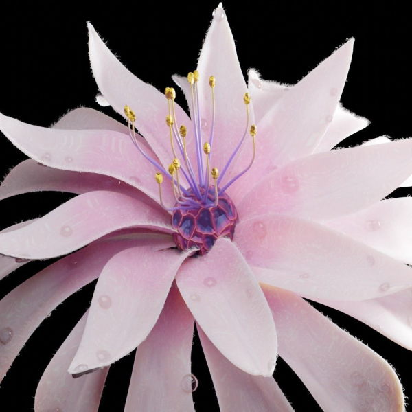 Unique Flower 02