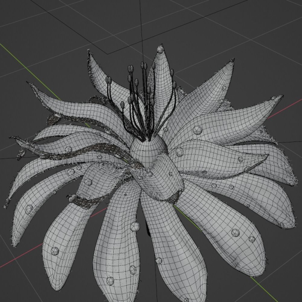 Unique Flower 02
