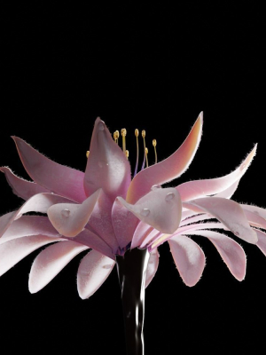 unique-flower-02-3d-model-87cecb3617