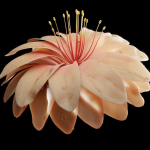 Unique Flower 03