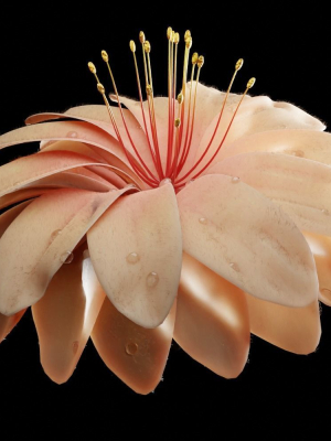 Unique Flower 03