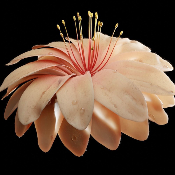 Unique Flower 03