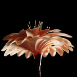 Unique Flower 03