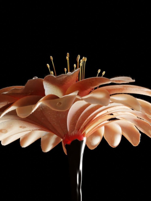 unique-flower-03-3d-model-76aa59cc78