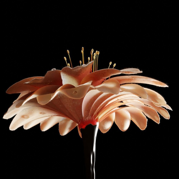 Unique Flower 03