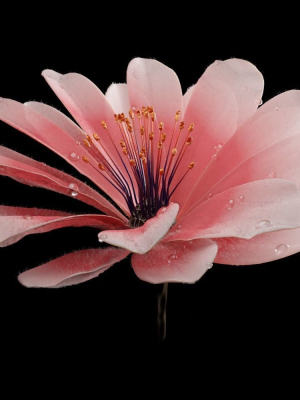 Unique Flower 04