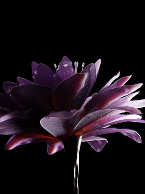 unique-flower-05-3d-model-1c1d2f4e80