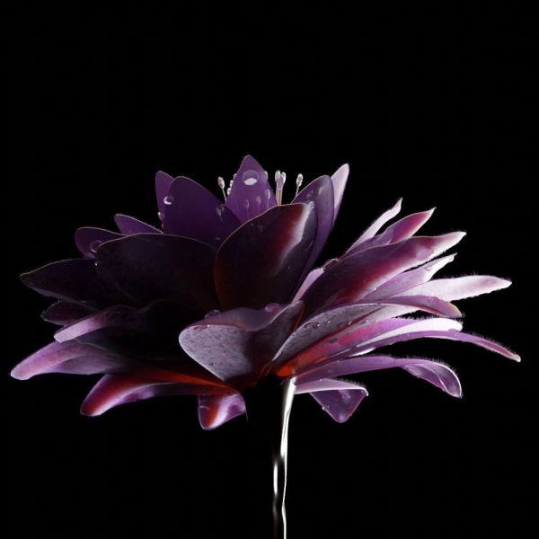 Unique Flower 05