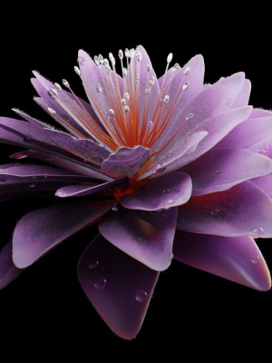 Unique Flower 05