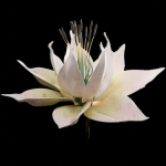 Unique Flower 07