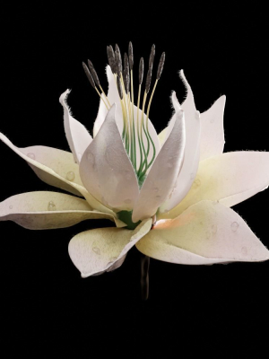 Unique Flower 07