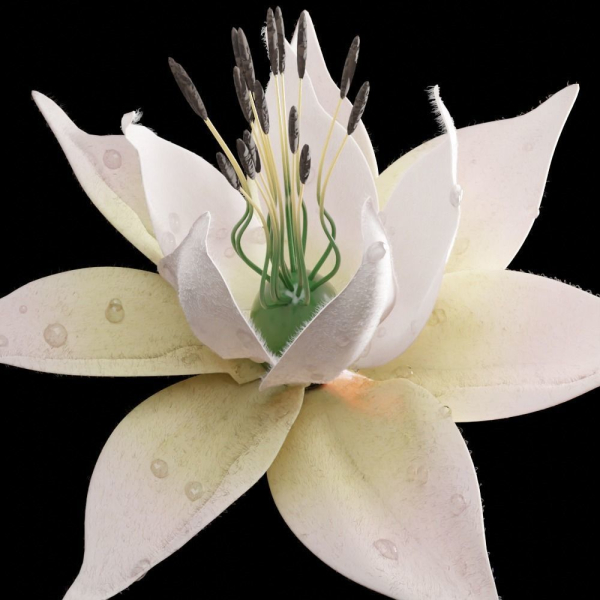 Unique Flower 07