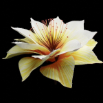 Unique Flower 09