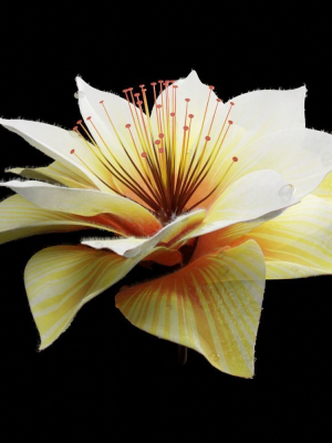 Unique Flower 09