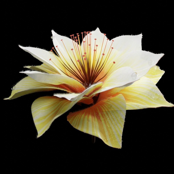 Unique Flower 09
