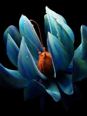 Unique Flower