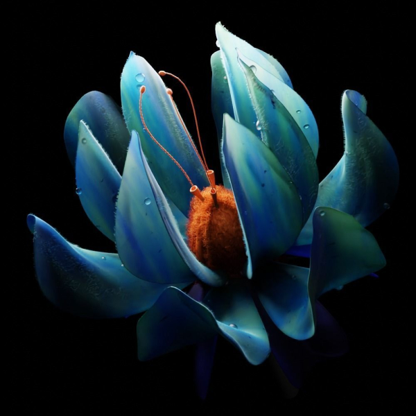 Unique Flower
