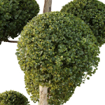 Urban environment set of green plant benches 10