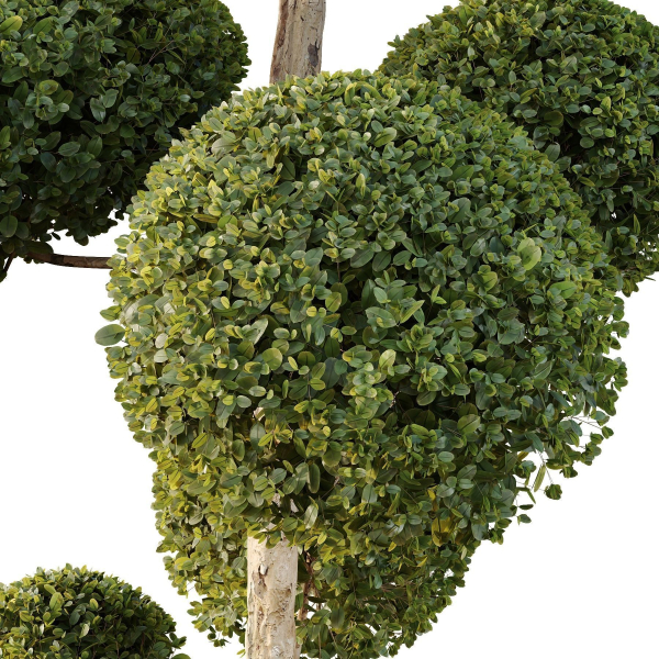 Urban environment set of green plant benches 10