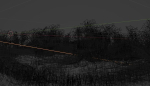 Valley Scene