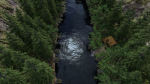 Valley Scene